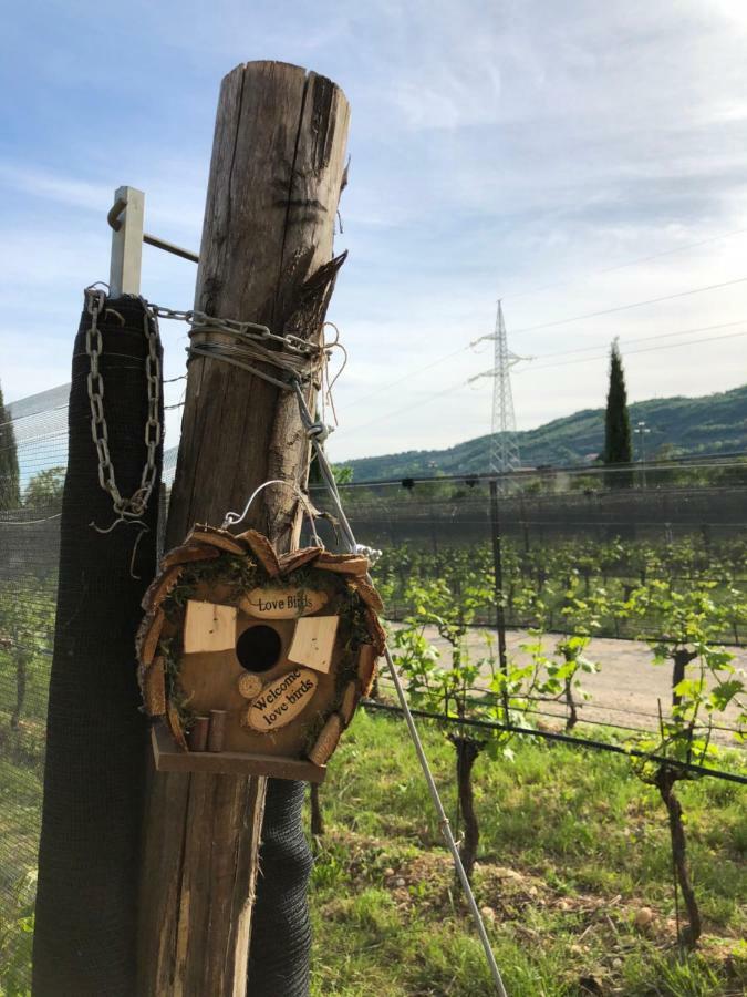 Maso Maroni Agriturismo Quinto di Valpantena Εξωτερικό φωτογραφία