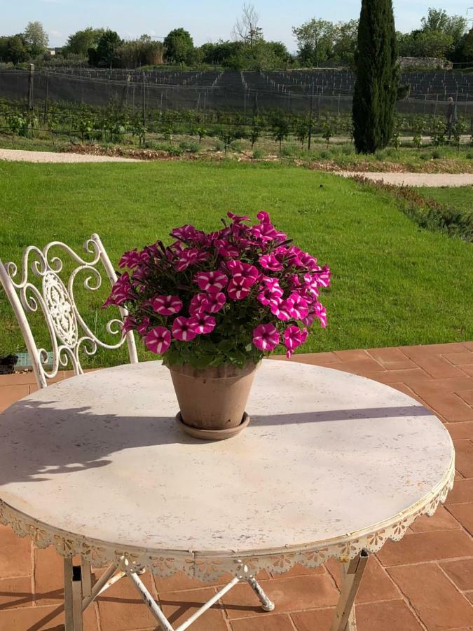 Maso Maroni Agriturismo Quinto di Valpantena Εξωτερικό φωτογραφία