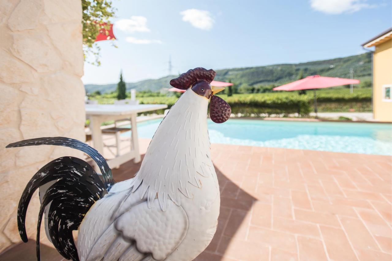 Maso Maroni Agriturismo Quinto di Valpantena Εξωτερικό φωτογραφία