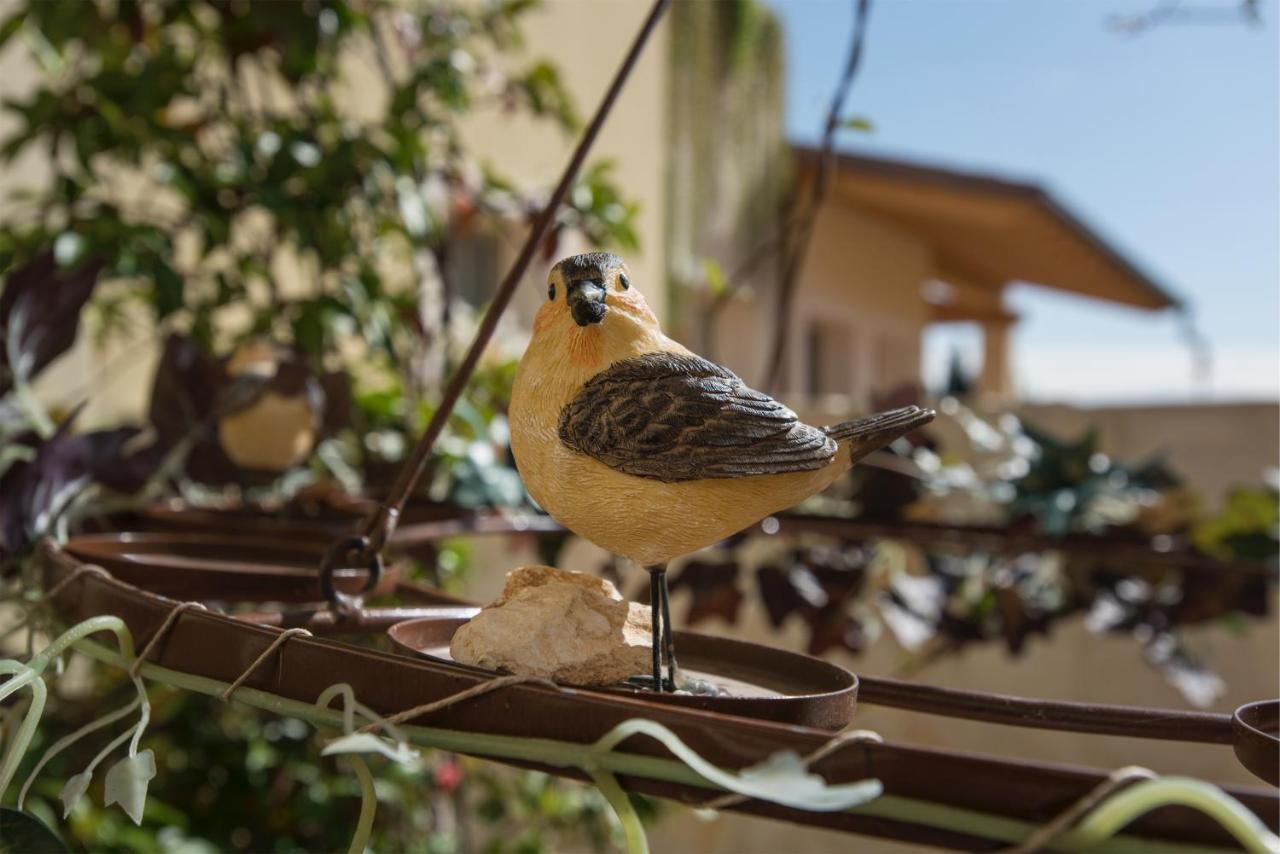 Maso Maroni Agriturismo Quinto di Valpantena Εξωτερικό φωτογραφία