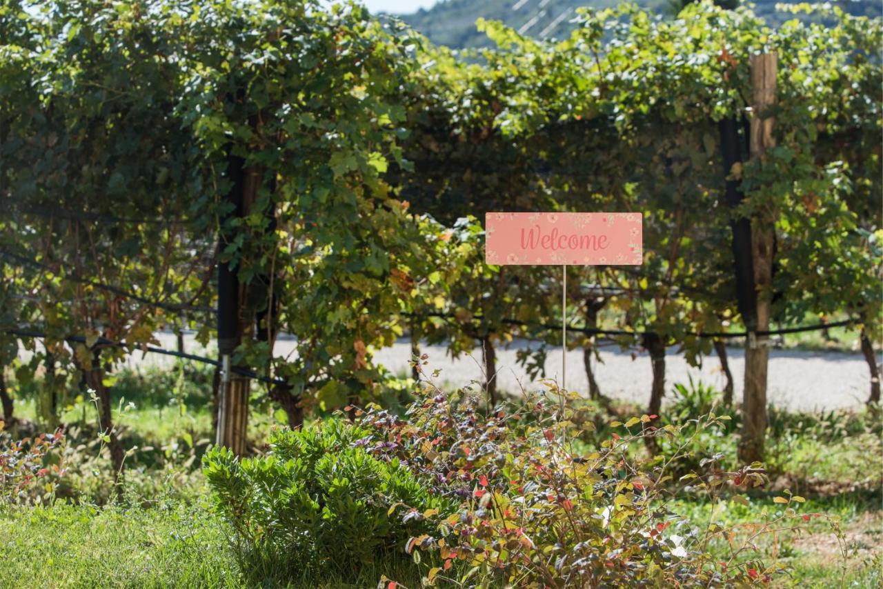 Maso Maroni Agriturismo Quinto di Valpantena Εξωτερικό φωτογραφία